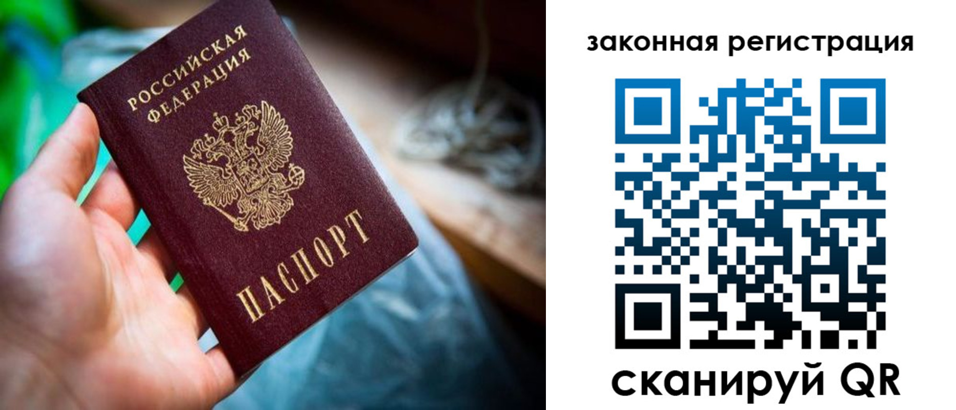 прописка в Черноголовке
